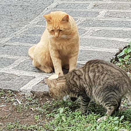Alle Pendici Dell'Etna Ragalna Dış mekan fotoğraf