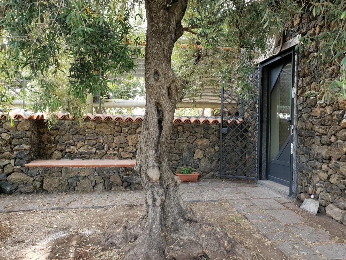 Alle Pendici Dell'Etna Ragalna Dış mekan fotoğraf